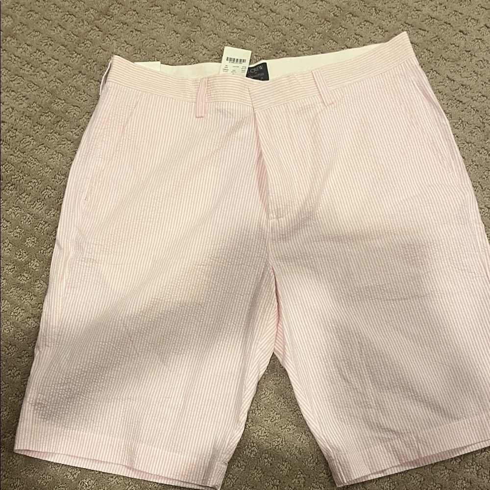 J Crew Revington NWT 34 Men's Pink Striped Shorts